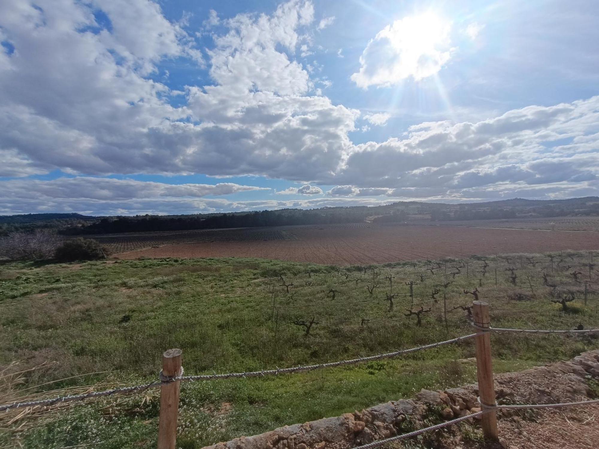 Casa Rural Alegria Caudete de las Fuentes Eksteriør billede